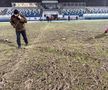 Gazonul arenei din Iași, distrus complet. Foto: Ovidiu Minea (GSP)