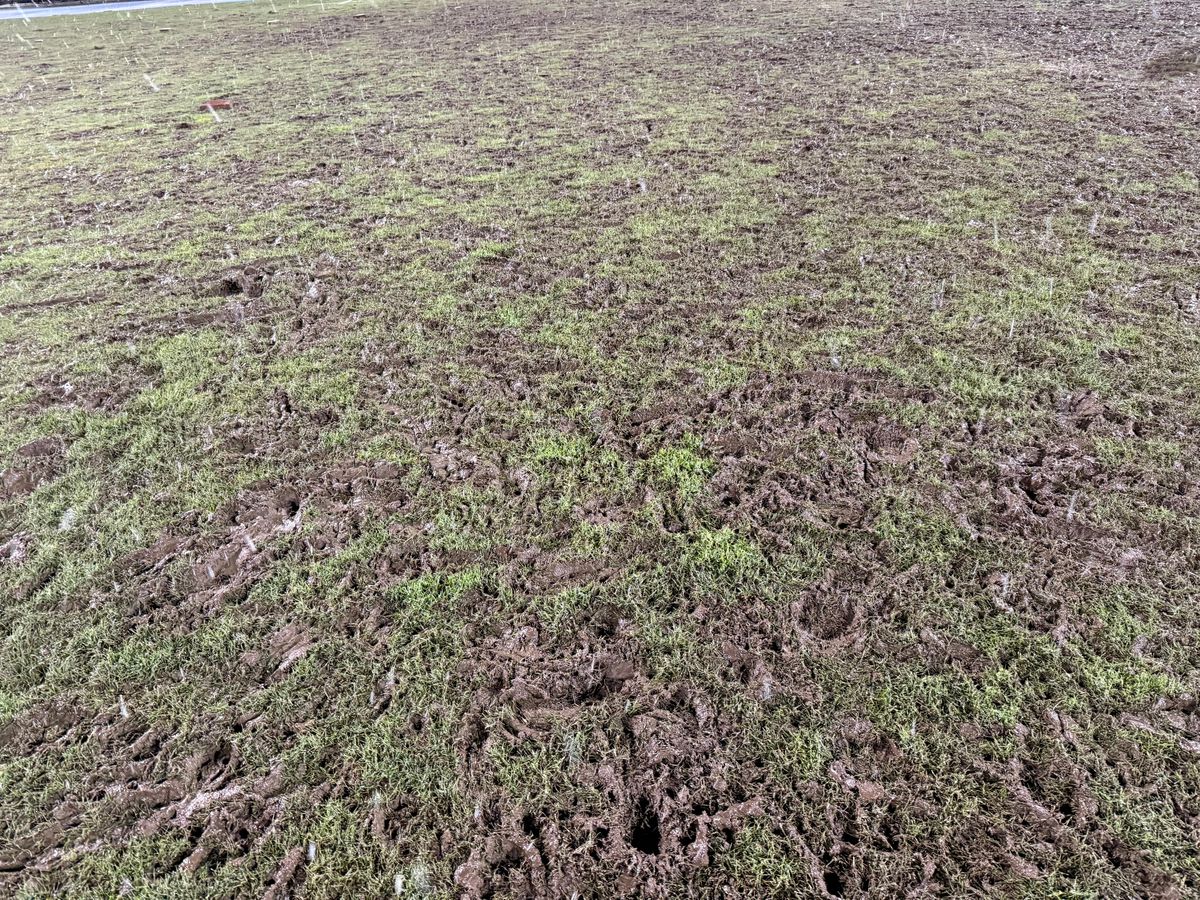 Scenariul pe care primăria nu și l-a putut imagina » Cum s-au risipit 500.000€ în 80 de minute: „Mare lucru nu se mai poate face”