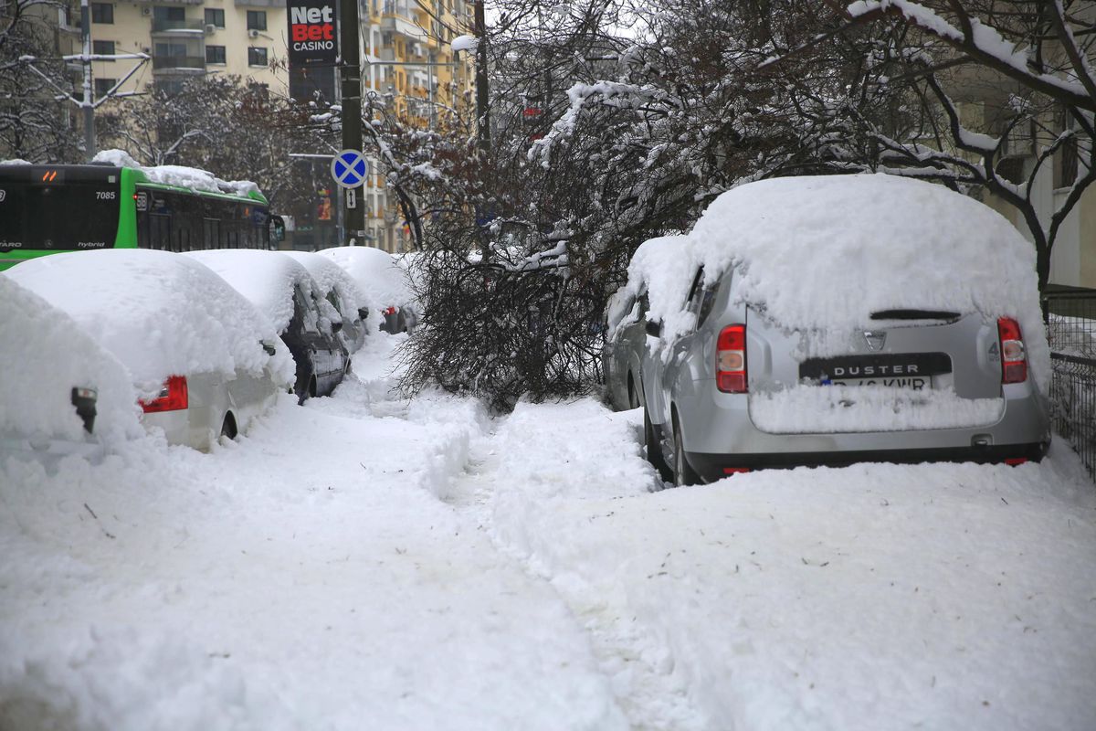 Olimpiada de Iarnă de la București, peste Milano Cortina » Imagini spectaculoase, dar și șocante din Capitală