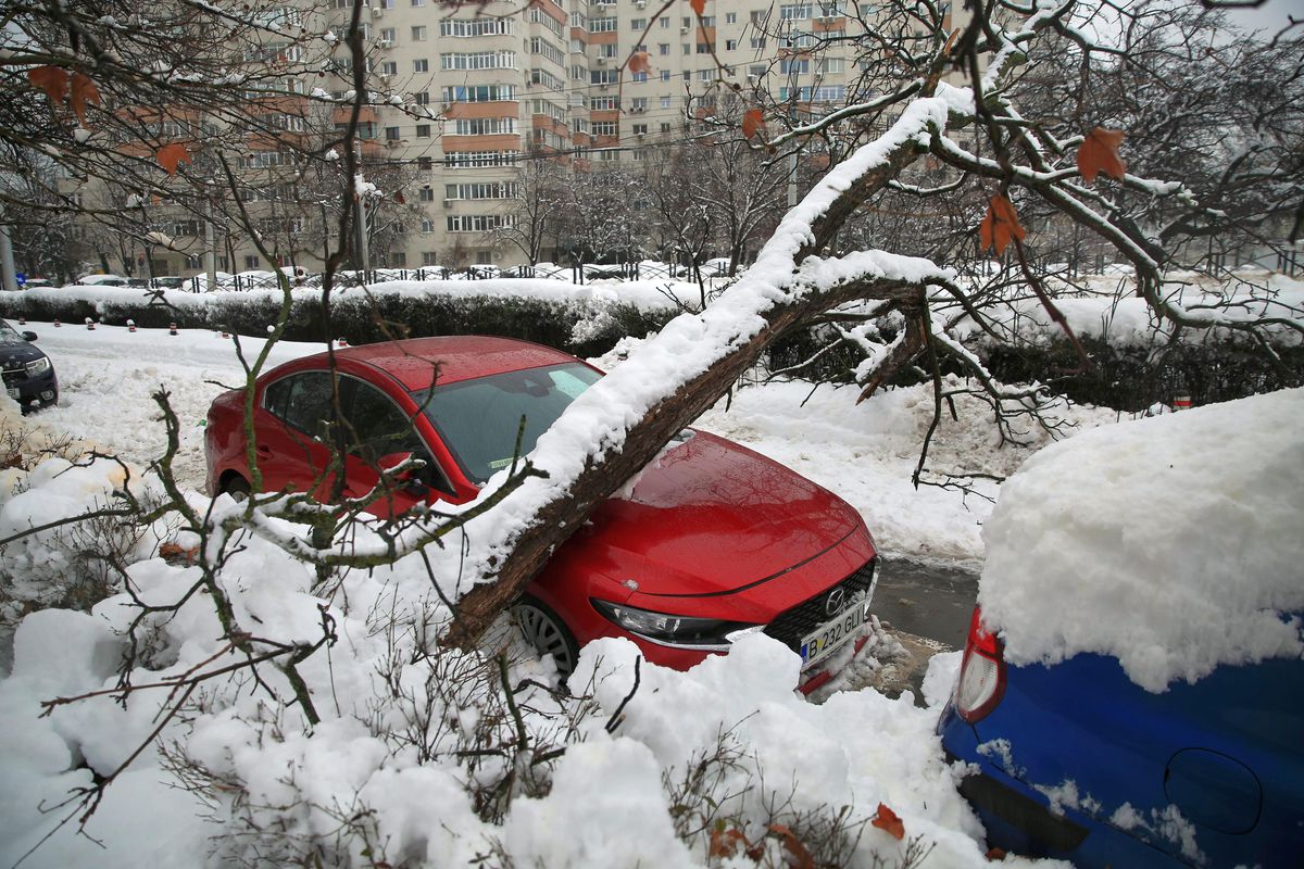 Olimpiada de Iarnă de la București, peste Milano Cortina » Imagini spectaculoase, dar și șocante din Capitală