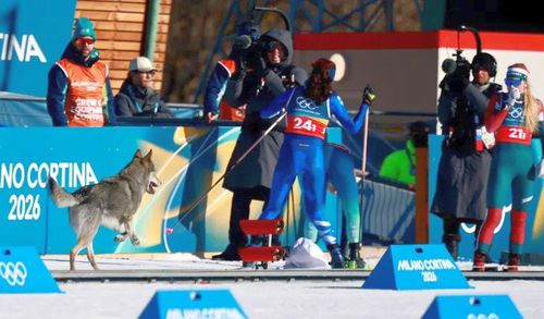 Un câine a perturbat cursa de cros-country pe echipe feminin în Tesero, la Jocurile Olimpice de Iarnă // foto: sportalblic.rs