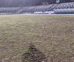Gazonul arenei din Iași, în urma partidei de rugby România - Belgia. Foto: Ovidiu Minea (GSP)