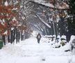 Iarna a pus stăpânire pe București - 18 februarie 2026. Foto: Ionuț Iordache (GSP.RO)