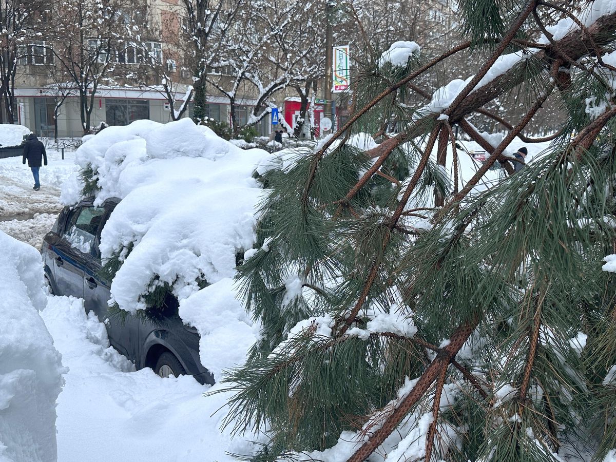 Zăpadă București - februarie 2026