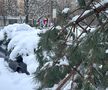Iarna a pus stăpânire pe București - 18 februarie 2026. Foto: Ionuț Iordache (GSP.RO)