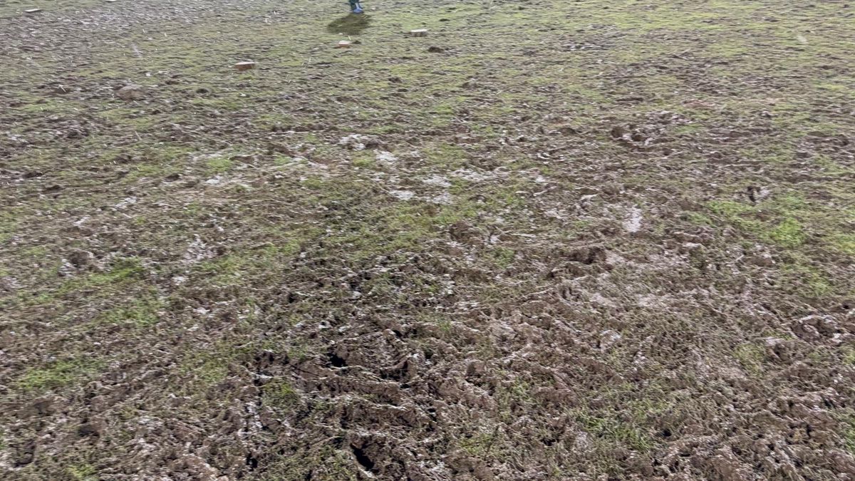 Scenariul pe care primăria nu și l-a putut imagina » Cum s-au risipit 500.000€ în 80 de minute: „Mare lucru nu se mai poate face”