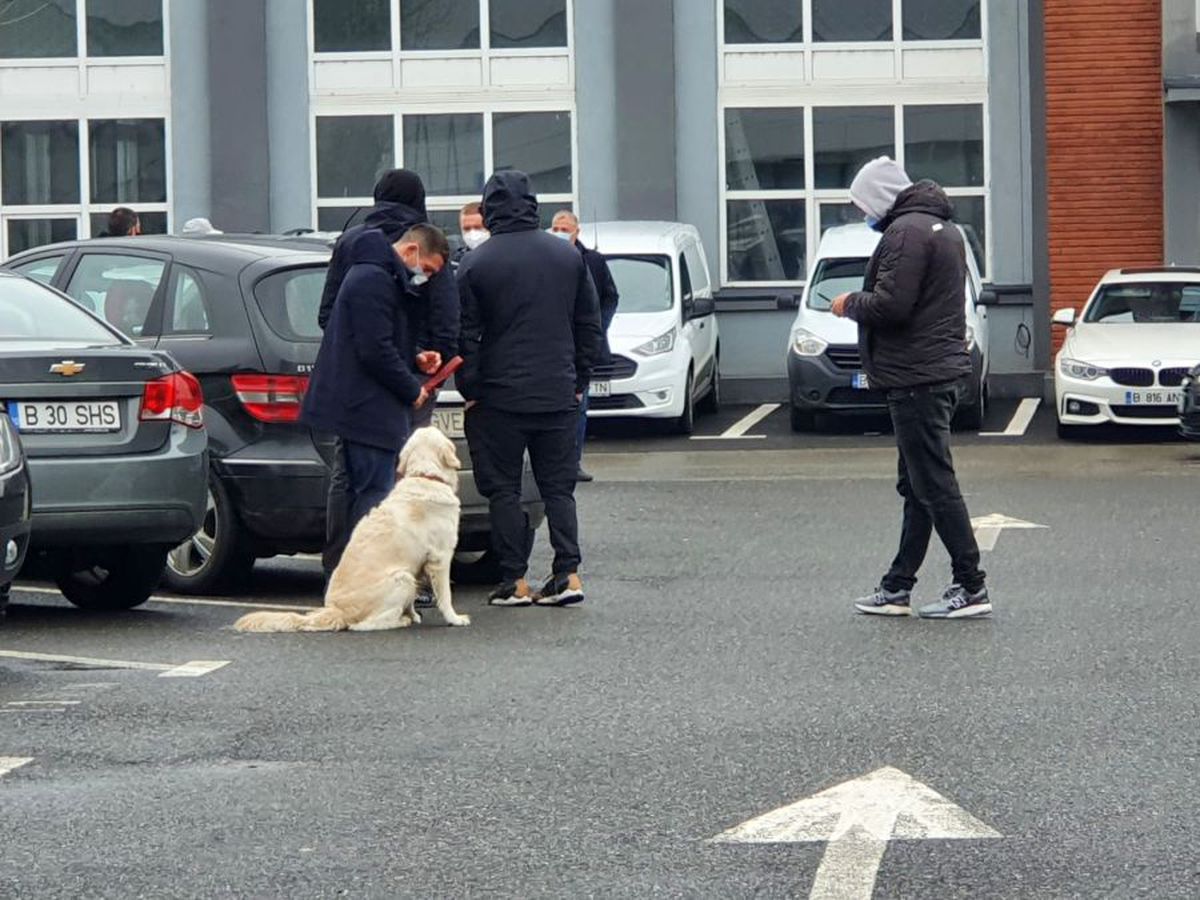 Tribunalul București s-a pronunțat în procesul Pablo Cortacero vs. DDB! Ce se întâmplă la Dinamo