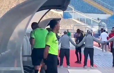 Nemaivăzut: arbitrul a anulat un gol după ce un spectator i-a arătat reluarea pe telefon!