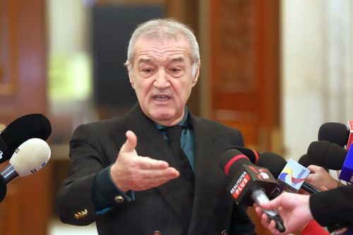 Gigi Becali în Parlamentul României