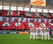 Scenografia „câinilor” pentru derby / Sursă foto: Raed Krishan (GSP)