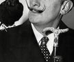 Salvador Dali