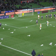 Meci întrerupt din cauza pescărușilor în Australia // Capturi FOTO: X