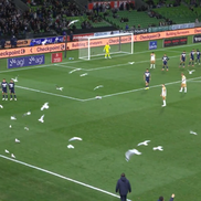 Meci întrerupt din cauza pescărușilor în Australia // Capturi FOTO: X