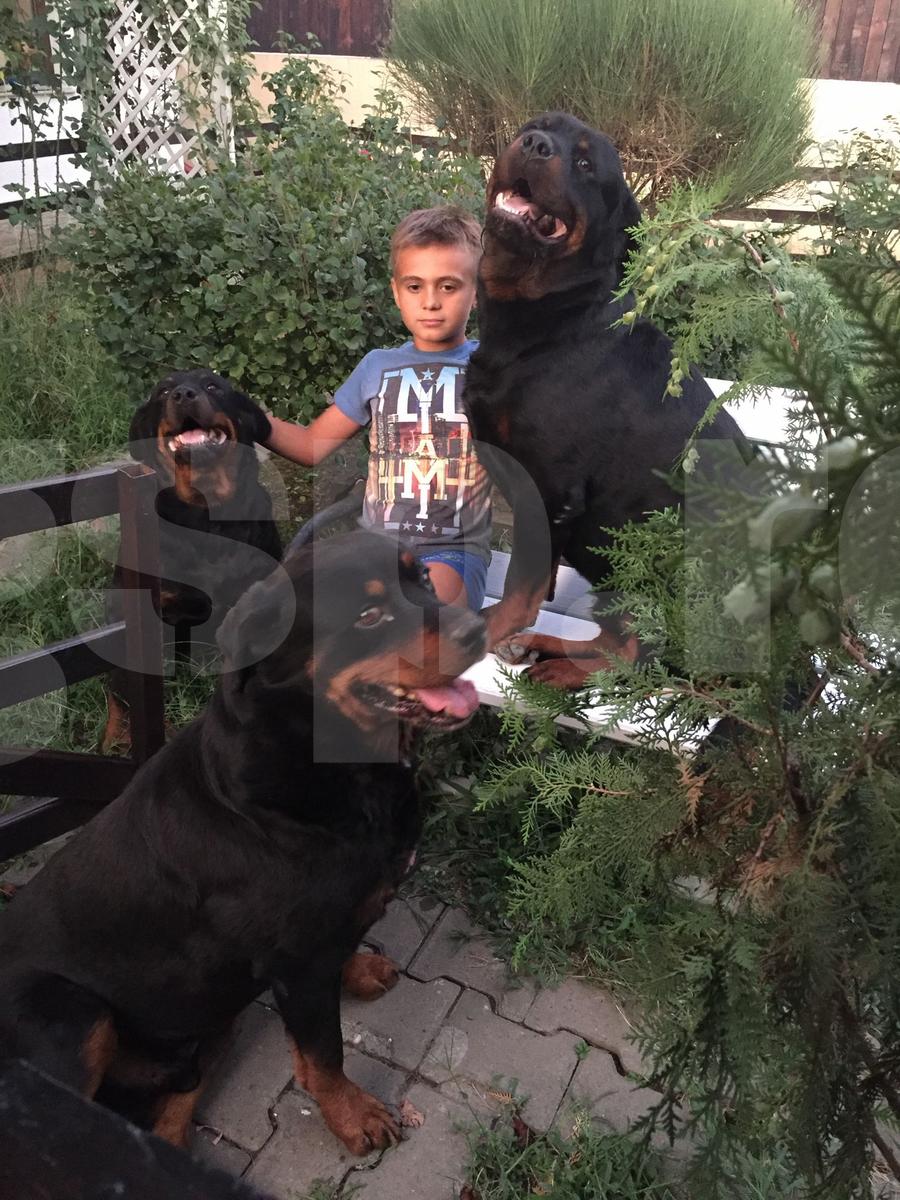 „S-a născut cu stea în frunte!” » Tatăl lui David Matei, mărturii spectaculoase după eventul Craiovei + Fotografia specială cu Hagi și promisiunea scrisă pe un șervețel