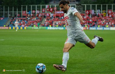 Tricolorii își dau examenul de capacitate în meciul cu Elveția