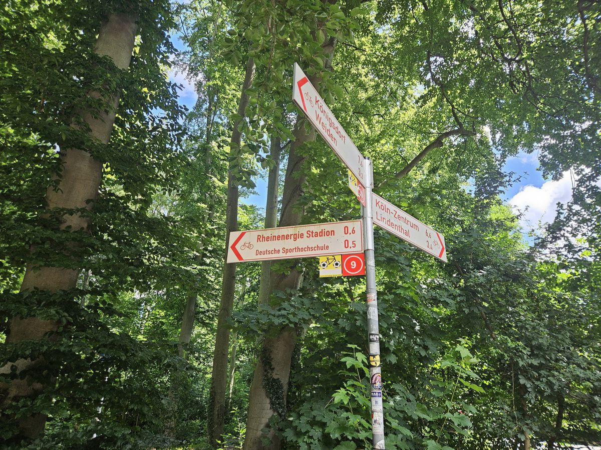 Aici vom juca împotriva Belgiei: stadionul la care ajungi prin pădure! » Ponturi de la echipa GSP aflată în Germania: vă vor ajuta enorm și scăpați de un stres