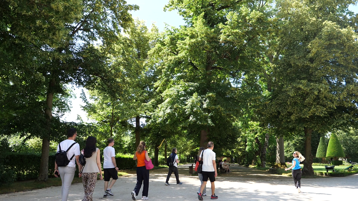 Pe urmele lui Napoleon » Dormitorul lui Bonaparte din palatul somptuos din Wurzburg, păstrat în starea lui originală