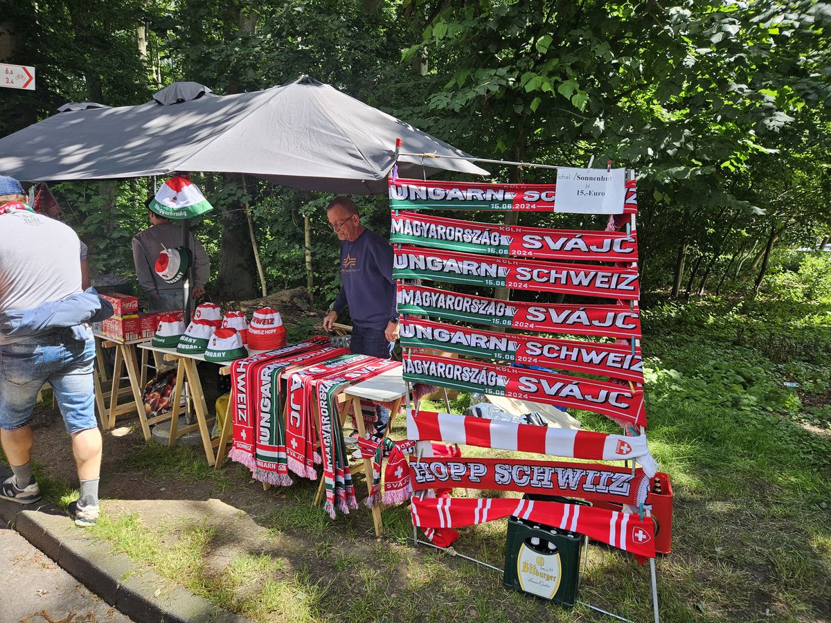 Aici vom juca împotriva Belgiei: stadionul la care ajungi prin pădure! » Ponturi de la echipa GSP aflată în Germania: vă vor ajuta enorm și scăpați de un stres