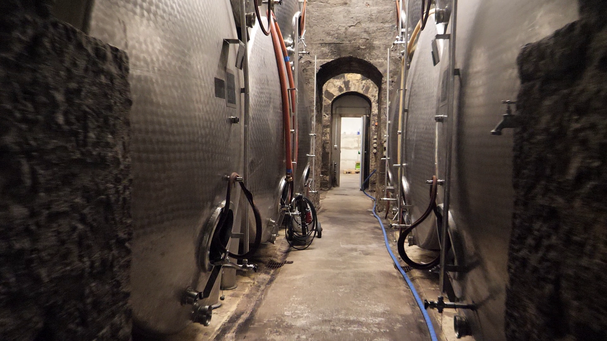 Reporterii GSP, în vizită la o cramă de peste 700 de ani din Würzburg » Cum arată cea mai veche sticlă de vin din lume, care datează de pe vremea lui Shakespeare