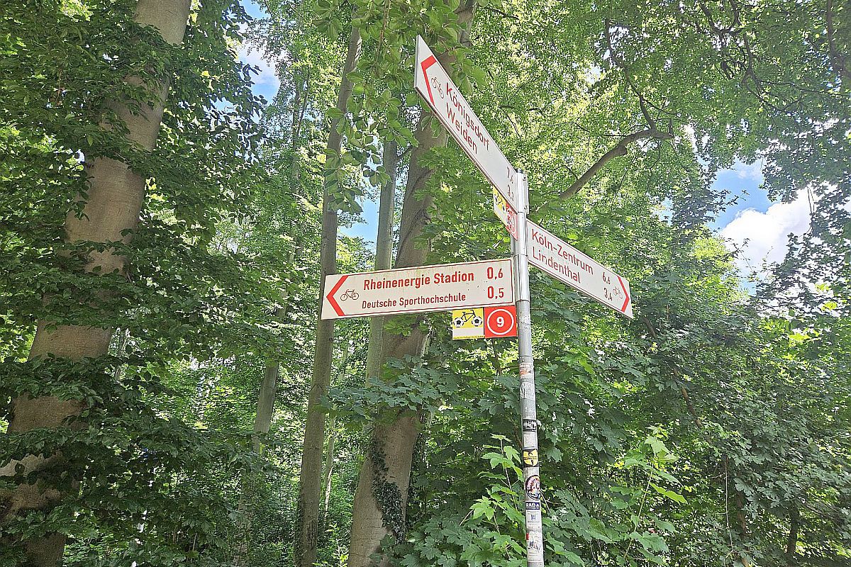 Aici vom juca împotriva Belgiei: stadionul la care ajungi prin pădure! » Ponturi de la echipa GSP aflată în Germania: vă vor ajuta enorm și scăpați de un stres