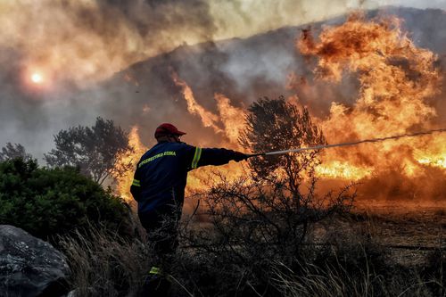 Incendiile recente din
Grecia au pârjolit zeci de
mii de hectare de pădure
FOTO Imago