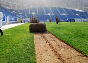 Scandal politic la Craiova din cauza noului gazon de pe „Oblemenco” » „Olga nu uită că un stadion întreg a umilit-o”
