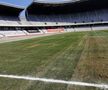 Gazonul de pe Cluj Arena