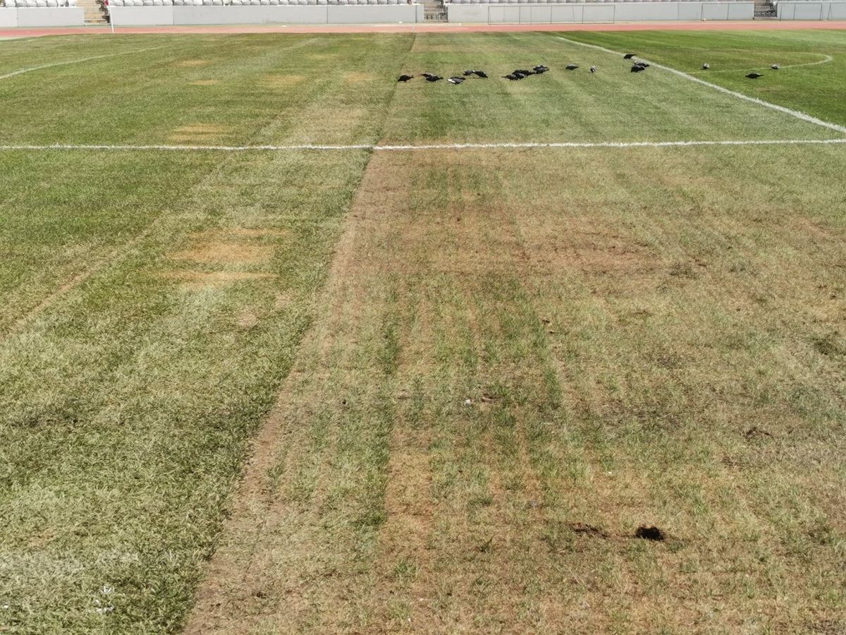 Orezăria Cluj Arena - 18.08.2022