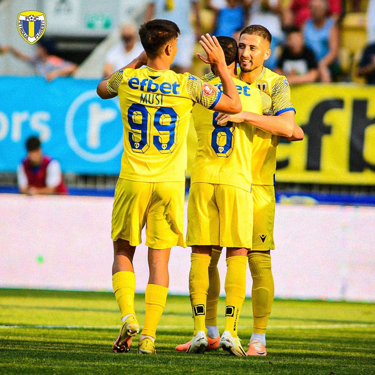 petrolul - fcu craiova - etapa 6