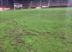 Cum arăta gazonul din Ghencea la finalul meciului FCSB - Poli Iași