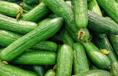 Gustul proaspăt începe de la sursă – alege cele mai bune semințe de castraveți