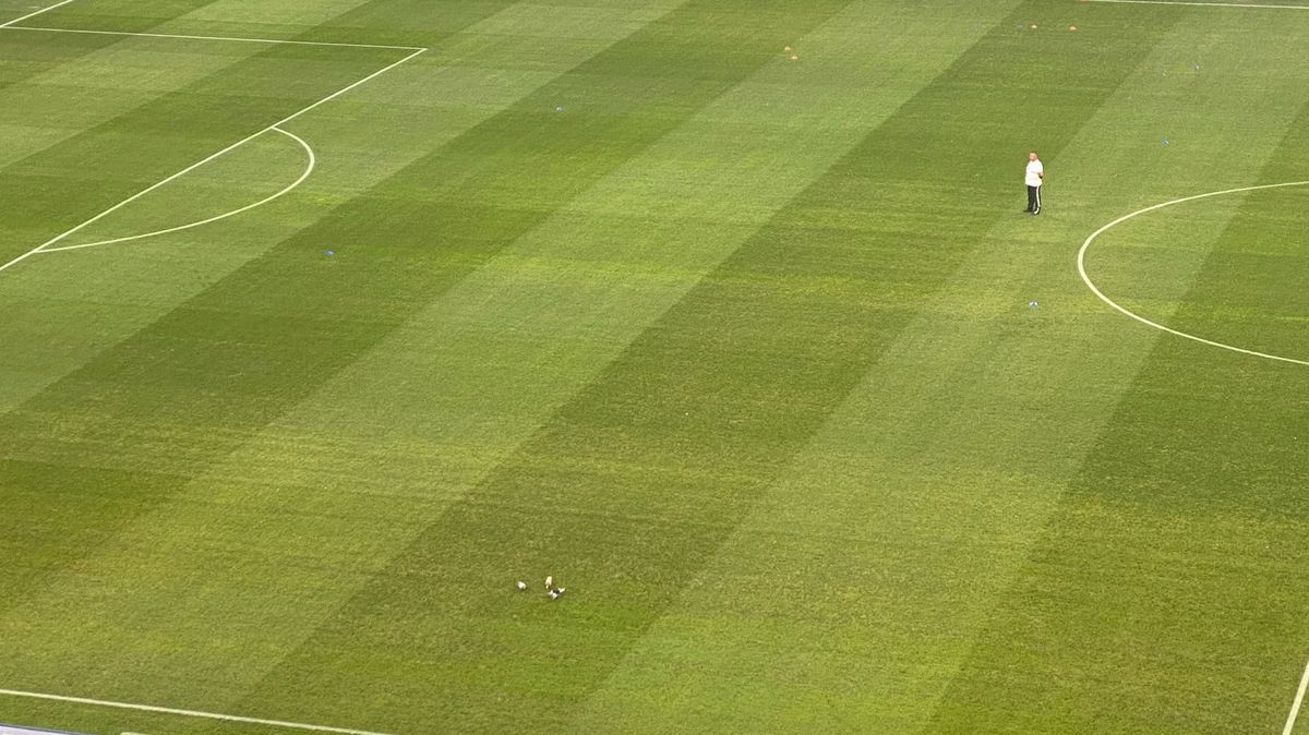 FCU Craiova - FCSB. Gazonul de pe „Oblemenco”