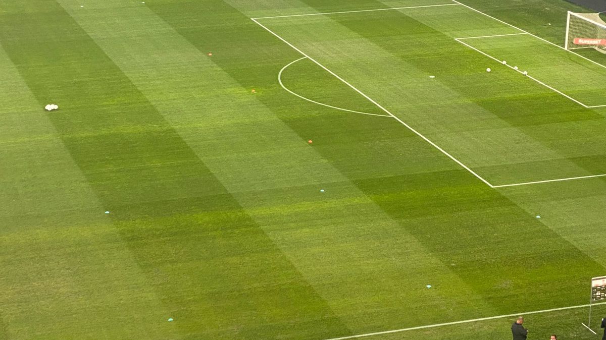 FCU Craiova - FCSB. Gazonul de pe „Oblemenco”