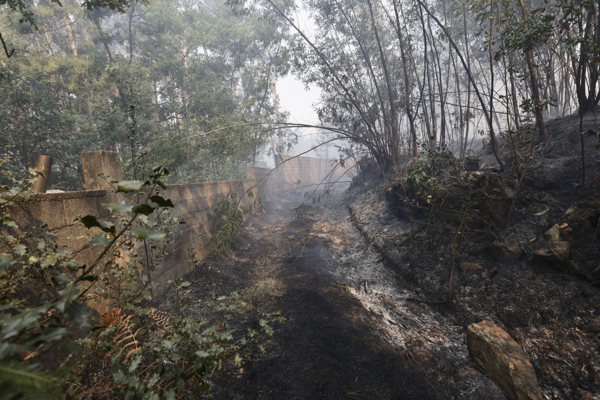 Stadion cuprins de flăclări! Incendii devastatoare în nordul Portugaliei