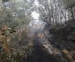 Incendii devastatoare în nordul Portugaliei. Foto: Imago Images