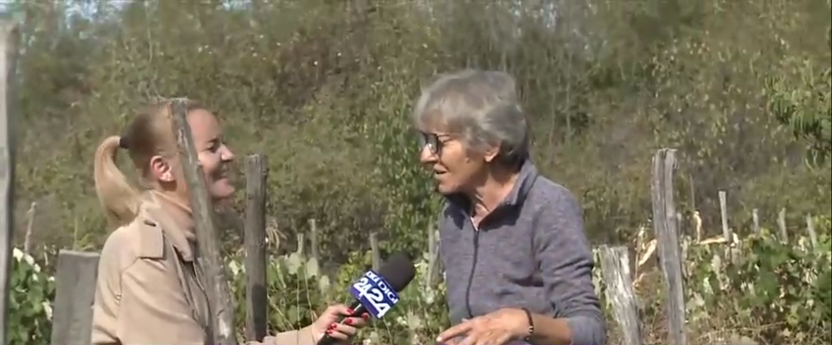 Între timp, în România: bazin semiolimpic inaugurat într-un sat fără canalizare » „Mobilizez babele de prin jurul meu și ne ducem împreună”