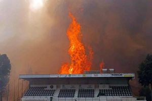 Incendii devastatoare în Portugalia! Un stadion, cuprins de flăcări » Bilanțul a urcat la 7 morți