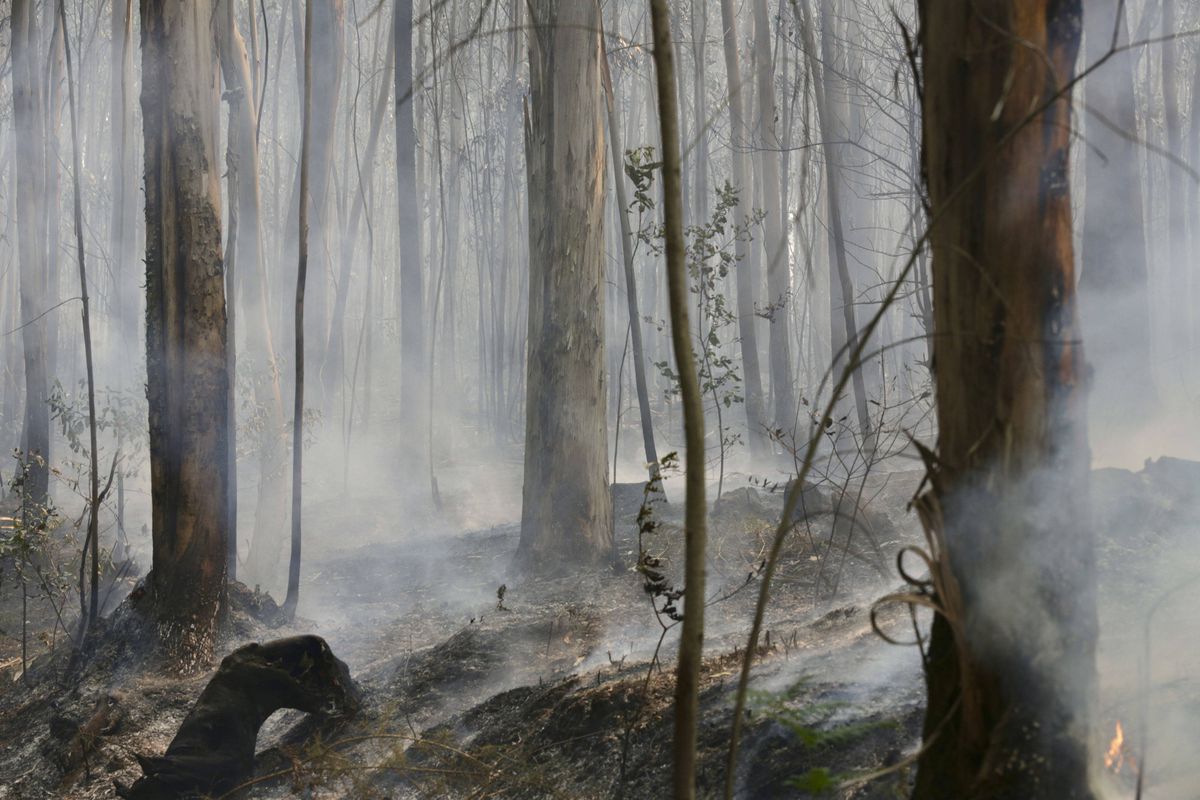 Fotbal mistuit de flăcări » Incendiul devastator a cuprins și stadionul: „Aerul continuă să fie irespirabil. Este un haos total”