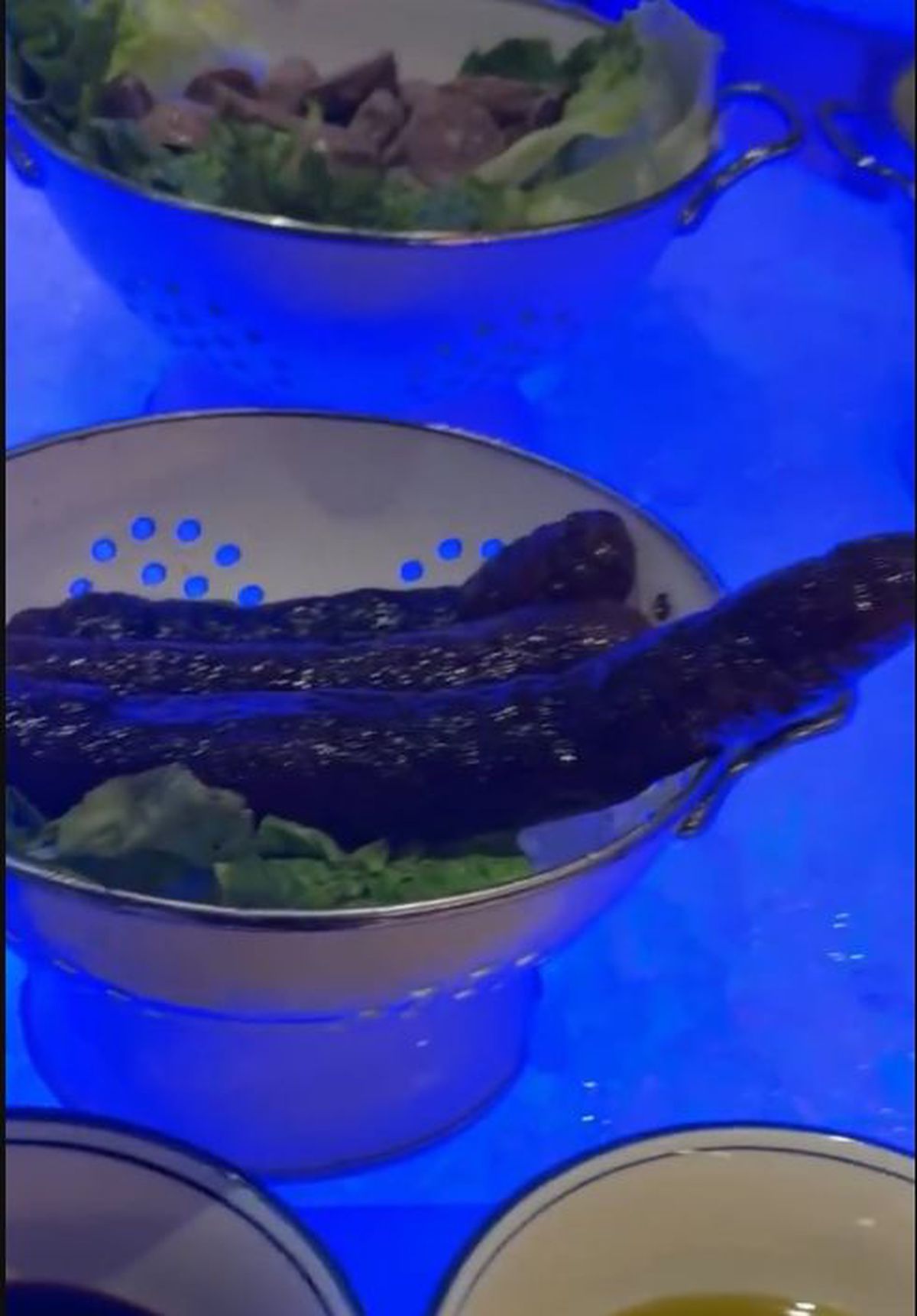 Americanca Townsend, șocată de mâncarea găsită în China, la Billie Jean King Cup » A ironizat „bucătăria” și a primit replica de la rivală: „Dacă vrei, e un KFC la aeroport”