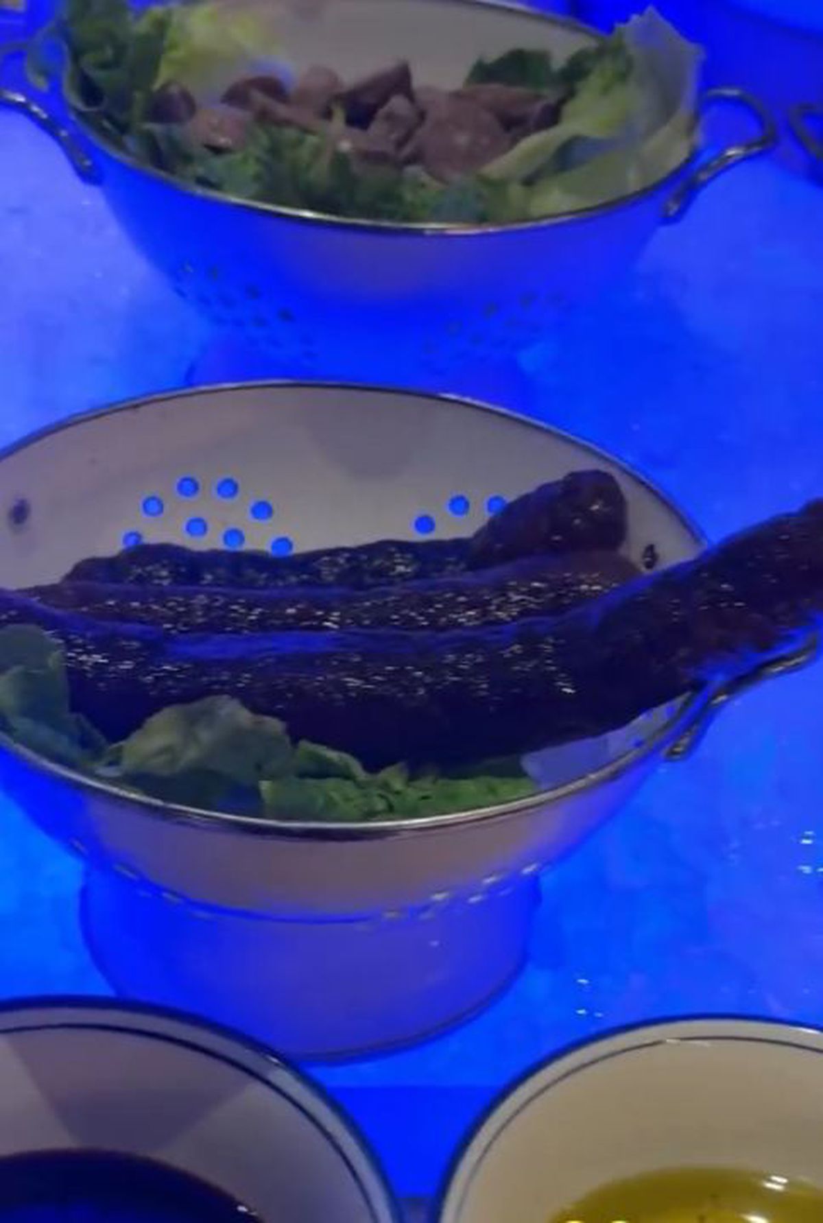 Americanca Townsend, șocată de mâncarea găsită în China, la Billie Jean King Cup » A ironizat „bucătăria” și a primit replica de la rivală: „Dacă vrei, e un KFC la aeroport”