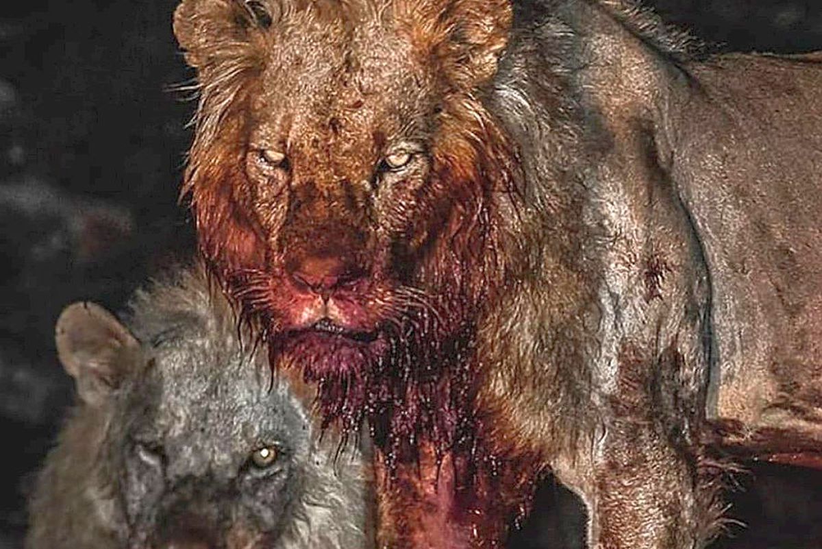 INTER - MILAN 1-2. Zlatan Ibrahimovic a cucerit internetul! Ce mesaj a postat după „dubla” cu Inter