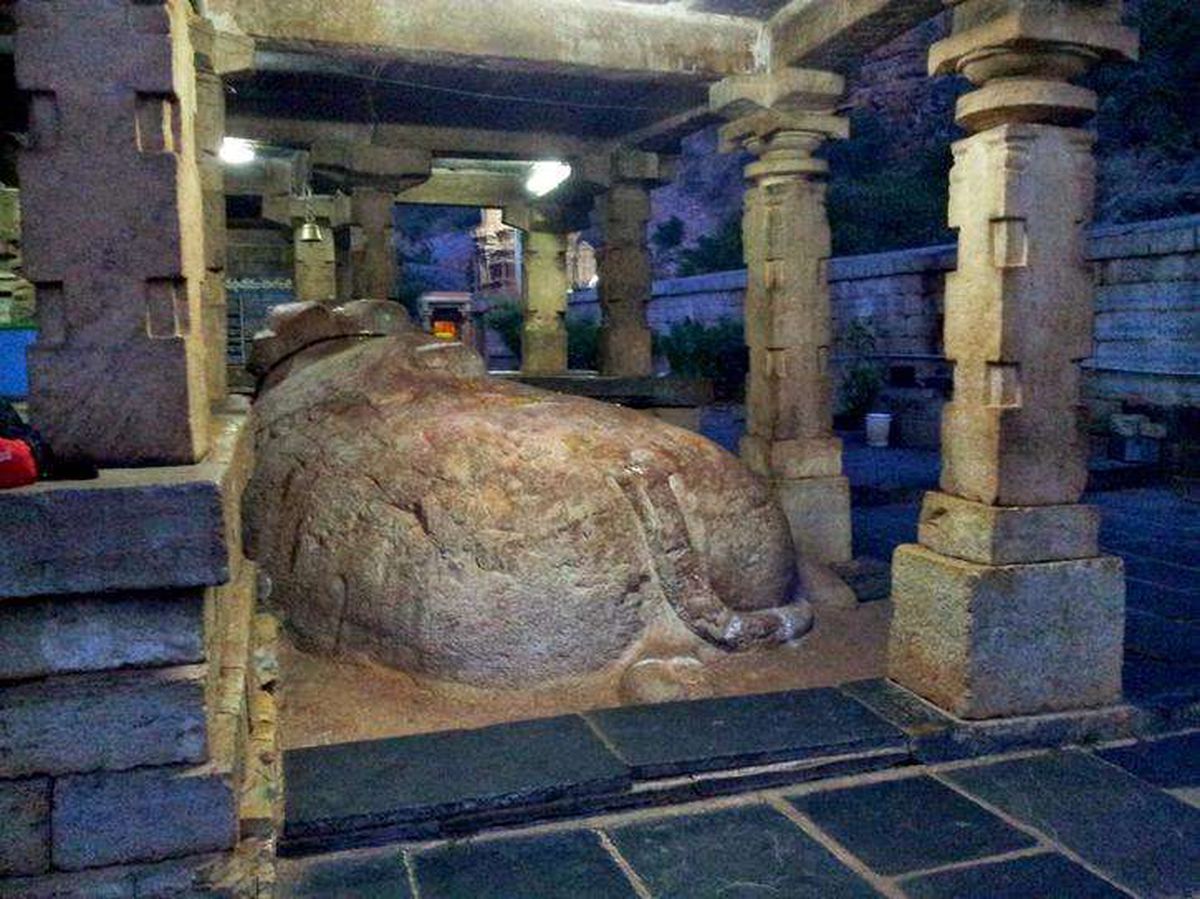 FOTO 10 lucruri inexplicabile din India: de la statuia care crește an de an sau satul în care se nasc numai gemeni la templul cu pereți cântători