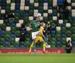 IRLANDA DE NORD - ROMÂNIA 1-1. Mirel Rădoi și-a anunțat viitorul: „Din punctul meu de vedere, lucrurile sunt clare!”