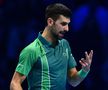Djokovic - Alcaraz semifinala