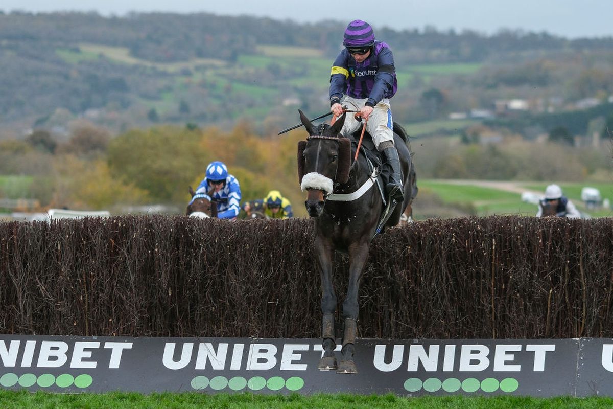 Tragedie în celebra cursă de la Cheltenham » Calul campion a murit în direct la TV.  Nu a fost singurul moment sumbru al zilei