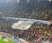 Ovidiu Ioanițoaia, sarcastic cu cei de la UEFA după „amenzile faraonice”: „Nu au fost atenți, a fost și un spectator care a băut apă direct din sticlă”