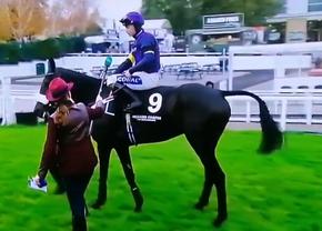 Tragedie în celebra cursă de la Cheltenham » Calul campion a murit în direct la TV.  Nu a fost singurul moment sumbru al zilei