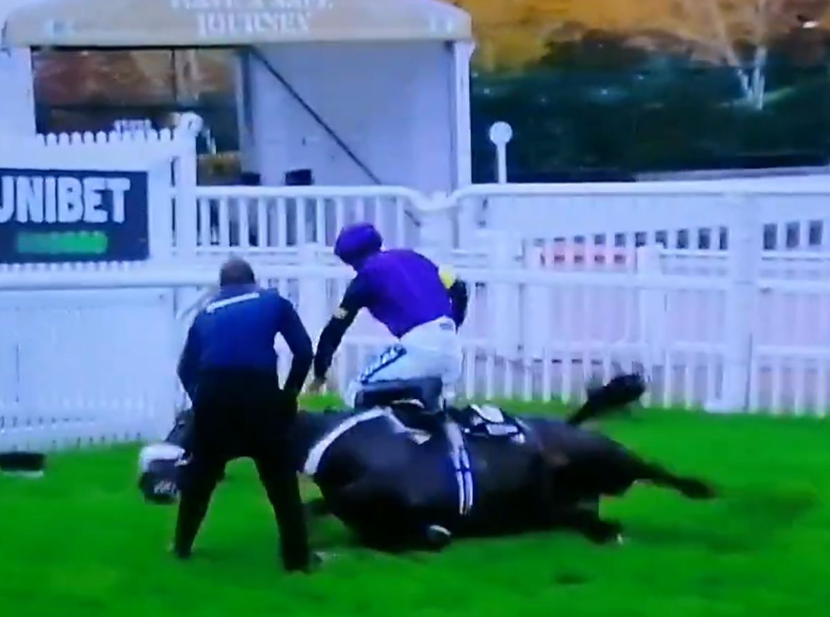 Tragedie în celebra cursă de la Cheltenham » Calul campion a murit în direct la TV.  Nu a fost singurul moment sumbru al zilei