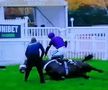 Tragedie în celebra cursă de la Cheltenham » Calul campion a murit în direct la TV.  Nu a fost singurul moment sumbru al zilei