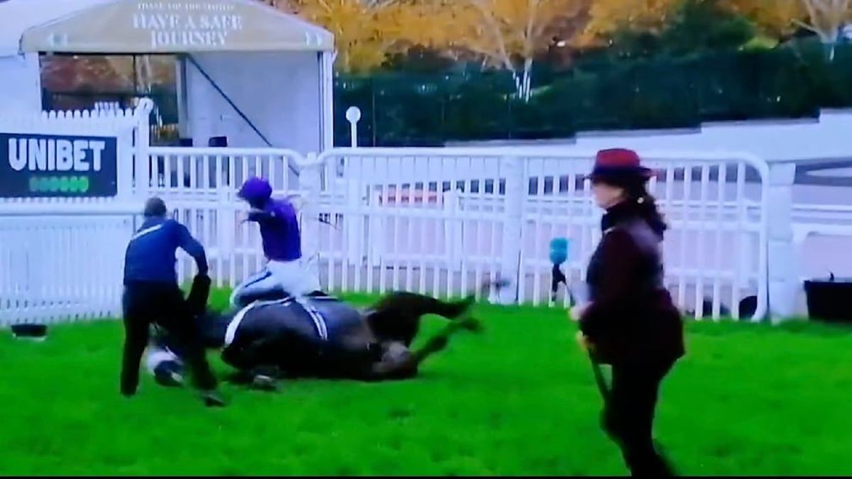Tragedie în celebra cursă de la Cheltenham » Calul campion a murit în direct la TV.  Nu a fost singurul moment sumbru al zilei